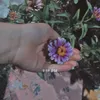 zahraa