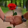 user4284603769949