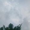 bplv.chaudhary