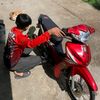 games57015