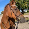 elin.sandblom