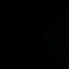 dianassz.visen
