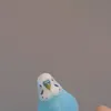 mistertickleyourepickle