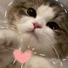 carleen_401