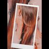 sehar12455