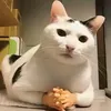 ark4de8
