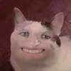 sk43454