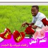 abdelrazig40