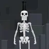 lilbroesqueleto