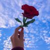 bahar_te3