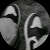 user66172405116141