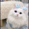 june_princess94
