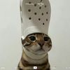 goofygoober5217