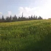 soukaina.alae62