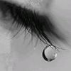 user19584131203571
