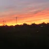 nhim_133