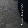 asan_ld88