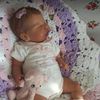 lilly.idcr