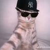 kevin.manusia8
