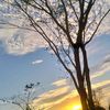 hf_jhthan