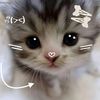 jessica.1449