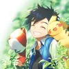 Pikachu Kalos