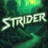 Strider music