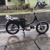 shogun7335