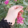 aum.ali2