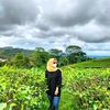 odoy0295