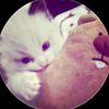 mputt_556