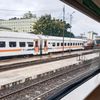 alvin244685