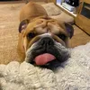 george345_king11