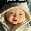 user70715395241101