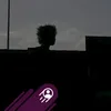 nguyenhoangvu_20