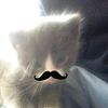 kmillaaww