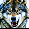user5715503552296