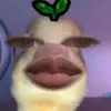 namekaila2