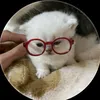 gai dep hay ri ~