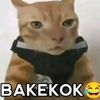 aexyfc