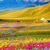 afghanistanzendab1