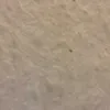 krissikrassi555