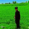 user82121982436135
