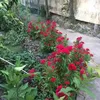 dieuhangtran885