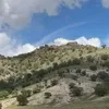 zhara19998