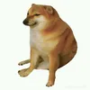 ggyyt862
