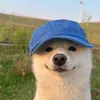 kiras1vn