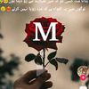 malikikram722