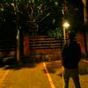 onlywithdap4