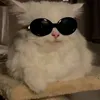 catotac_